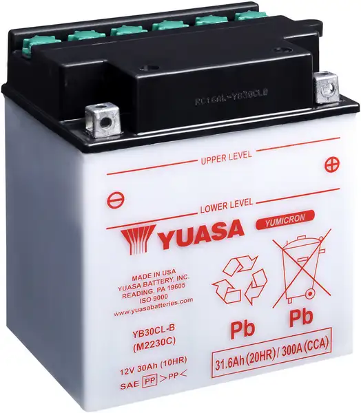 motobaterie YUASA YB30CL-B (12V 30Ah)